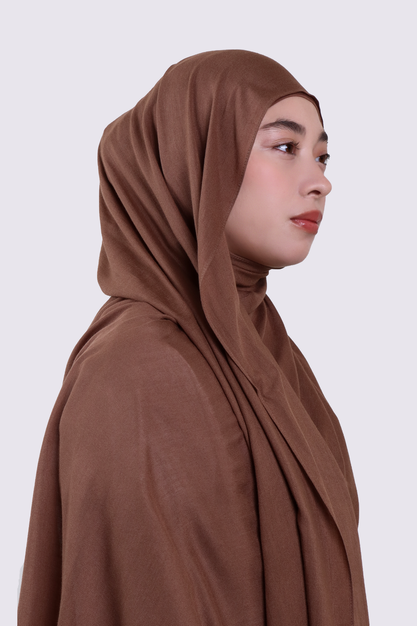 Premium Modal- Brown